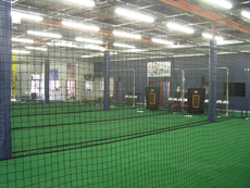 Balls-n-Strikes Youth Softball & Baseball Training Facilities - Franchising Opportunities